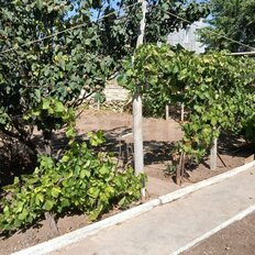 4,1 сотки, участок - изображение 5