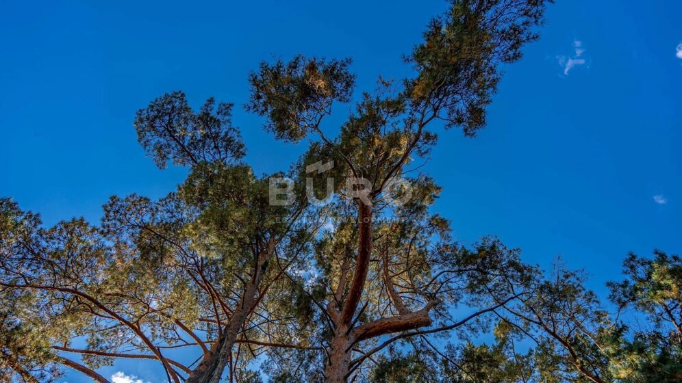 6 соток, участок 800 000 ₽ - изображение 50