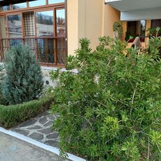 дом + 2 сотки, участок - изображение 3