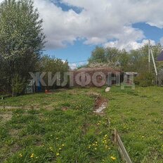 11 соток, участок - изображение 2