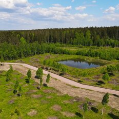 8,6 сотки, участок - изображение 1