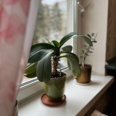 Квартира 57 м², 3-комнатная - изображение 1