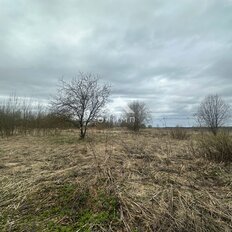 14,9 га, участок - изображение 3
