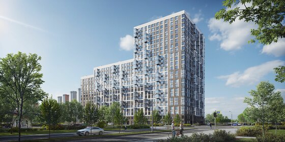 Новостройка, Невский район