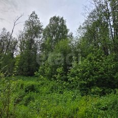 12 соток, участок - изображение 3