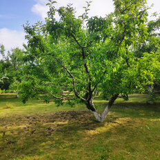 дом + 15 соток, участок - изображение 5