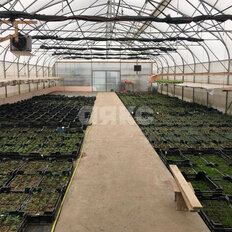 1000 м², производственное помещение - изображение 2
