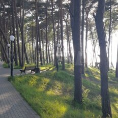 Квартира 30 м², 1-комнатная - изображение 5