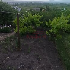 3,9 сотки, участок - изображение 4