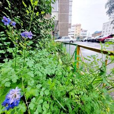 Квартира 30 м², 1-комнатная - изображение 1