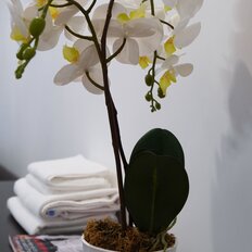 Квартира 42 м², 1-комнатная - изображение 5