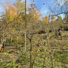 5 соток, участок - изображение 2