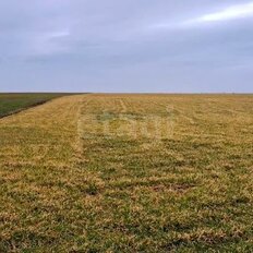 6 соток, участок - изображение 3
