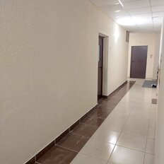 Квартира 43 м², 2-комнатная - изображение 5