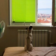 Квартира 35 м², 1-комнатная - изображение 4