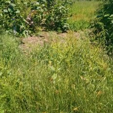 14 соток, участок - изображение 4