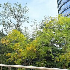 Квартира 40 м², 1-комнатные - изображение 3