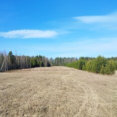 3 га, участок - изображение 2