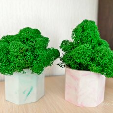 Квартира 38,3 м², 1-комнатная - изображение 5