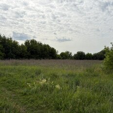 дом + 3700 га, участок - изображение 4