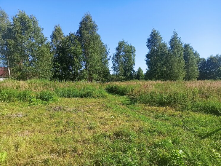 25 соток, участок 3 000 000 ₽ - изображение 10