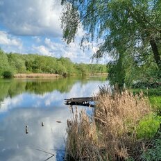 6 соток, участок - изображение 2