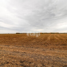 4,3 га, участок коммерческого назначения - изображение 5