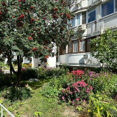 Квартира 50 м², 2-комнатная - изображение 1