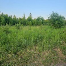 10 соток, участок - изображение 4