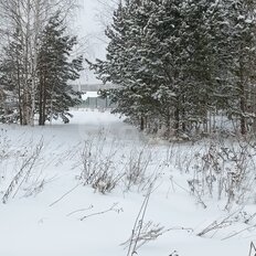 11,6 сотки, участок - изображение 5