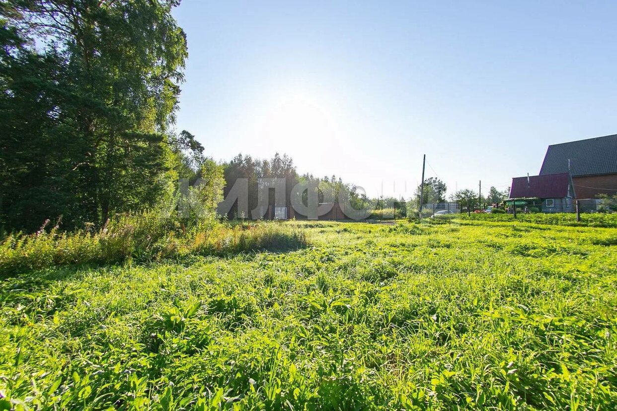 Дом 25 м² в садовое товарищество Чернобылец — фото 20 из 24