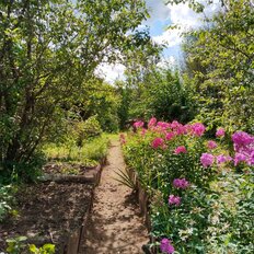 дом + 7 соток, участок - изображение 2