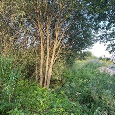 9,3 сотки, участок - изображение 3