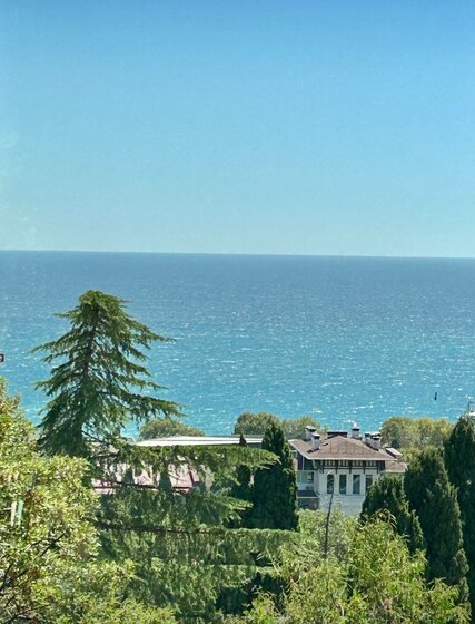 28 м², 1-комнатная квартира 2 490 ₽ в сутки - изображение 68