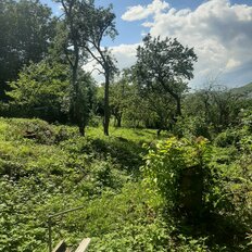 16 соток, участок - изображение 3