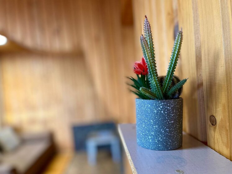 80 м² дом, 20 соток участок 8 000 ₽ в сутки - изображение 10