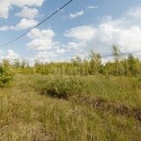 14,9 сотки, участок - изображение 3