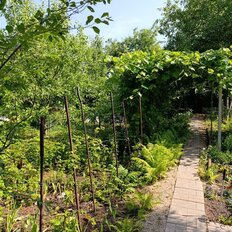 дом + 8,2 сотки, участок - изображение 5