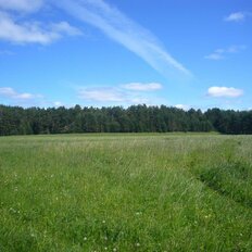 9,9 га, участок - изображение 3