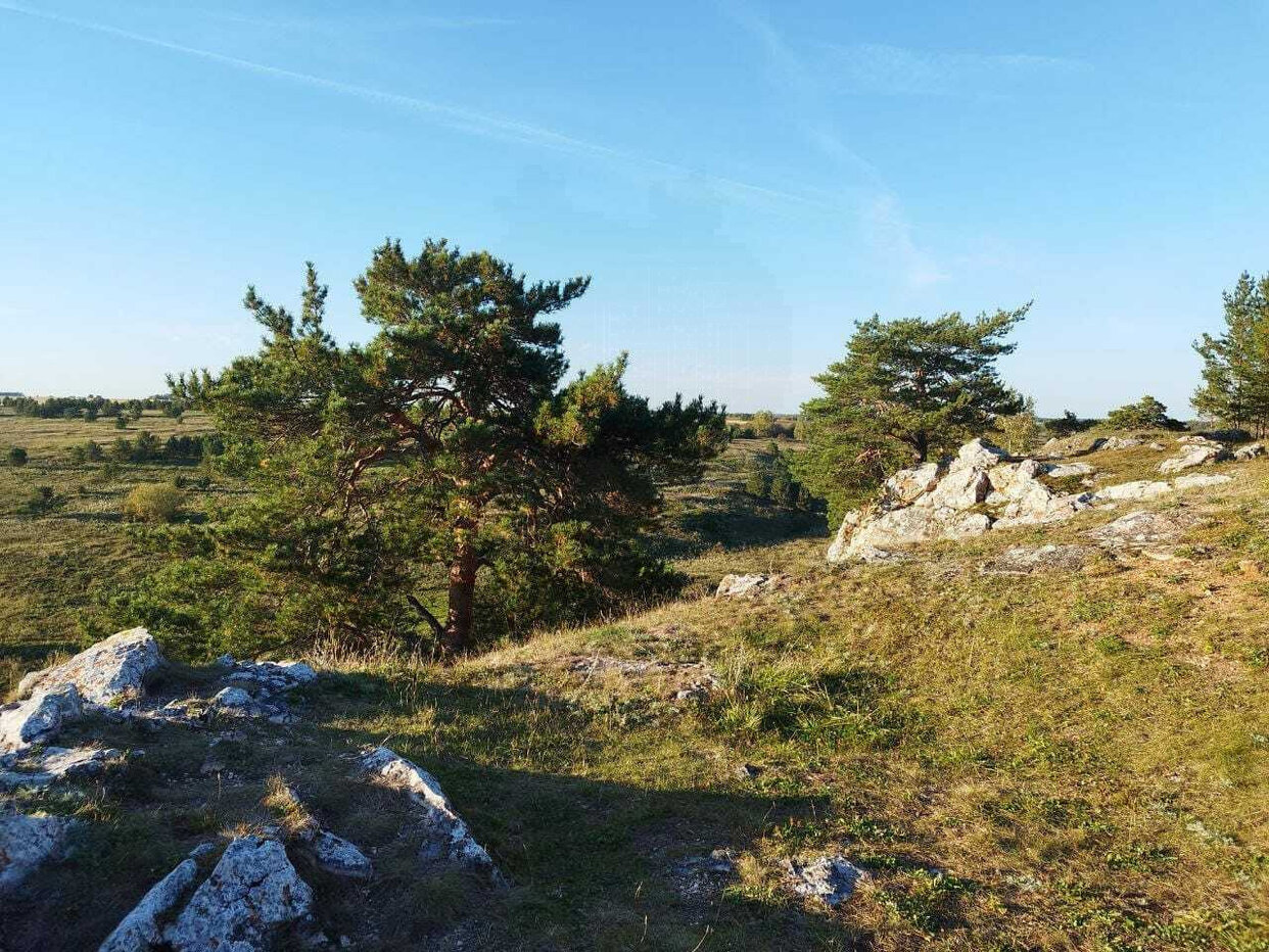 Квартира 1-комн. 28.2 м² в село Липино — фото 18 из 24