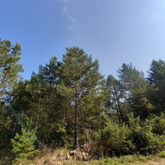 14,6 сотки, участок - изображение 2