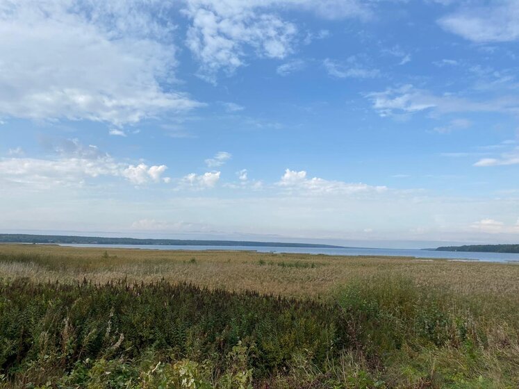 12 соток, участок 650 000 ₽ - изображение 5