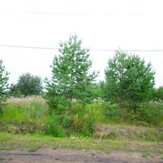 15,6 сотки, участок - изображение 5