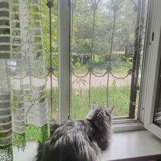 Квартира 43,5 м², 2-комнатная - изображение 1