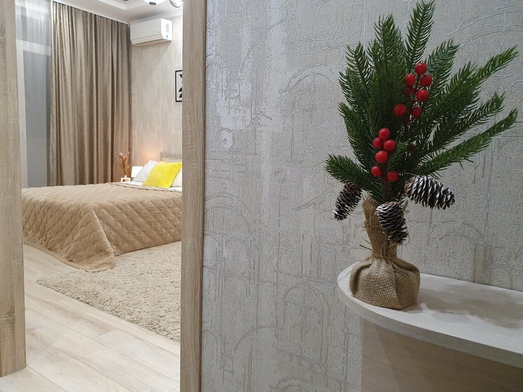 40 м², 1-комнатная квартира 2 000 ₽ в сутки - изображение 25