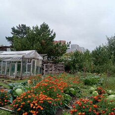 дом + 17,6 сотки, участок - изображение 3