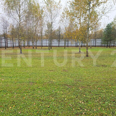 60 соток, участок коммерческого назначения - изображение 3