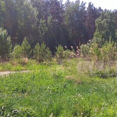 24,8 сотки, участок - изображение 1