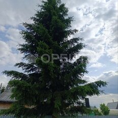 20 м², дом - изображение 3