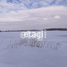 2 га, участок коммерческого назначения - изображение 2